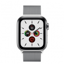 Apple/苹果 Apple Watch Series 5；不锈钢表壳；米兰尼斯表带