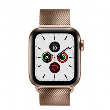 Apple/苹果 Apple Watch Series5；金色不锈钢表壳；金色米兰尼斯表带