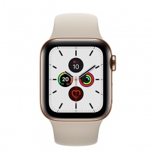 Apple/苹果 Apple Watch Series5；金色不锈钢表壳；岩石色运动型表带-S/M和M/L