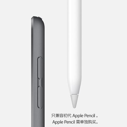 Apple/苹果 iPad mini