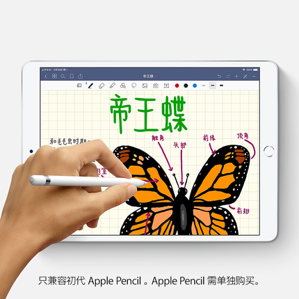 Apple/苹果 10.5 英寸 iPad Air