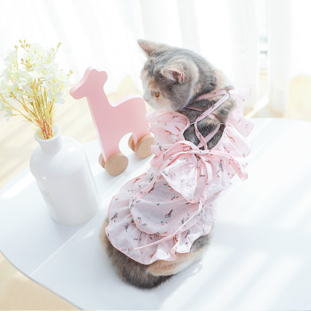 小猫咪衣服宠物春夏装薄款可爱奶幼猫蓝猫英短无毛夏天的公主裙子
