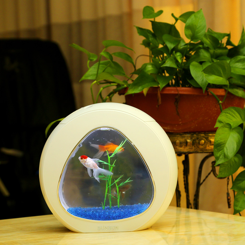 森森鱼缸水族箱小型办公室桌面迷你免换水圆形斗鱼缸微景观生态缸